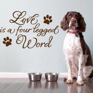 Wall Decal Quotes - Vinyl Quote Wall Decoration..