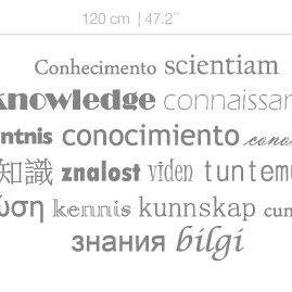 Wall Decal Quotes - Multilingual Knowledge..